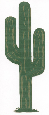 Saguaro Cactus | Flora