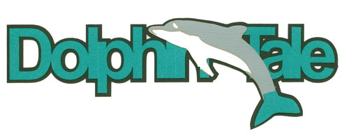 Dolphin Tale | Florida