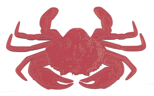 Dungeness Crab | Ocean