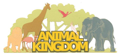 Animal Kingdom | Africa