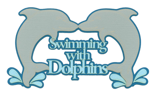 Swim with Dolphins | General Theme Parks