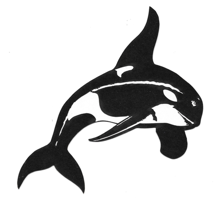Orca - Large | San Juans, Whatcom, Island