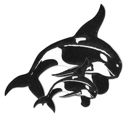Orcas Together | Ocean