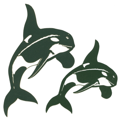 Orcas  | Fauna