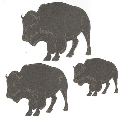 Bison 3 pack | Wyoming