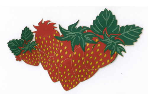 Strawberries | Flora