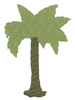 Image Palm Tree