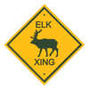 Image Elk Crossing