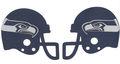 Image Seahawk Helmets