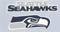 Image Seahawk Logo & Title